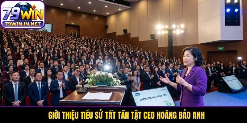Giới thiệu tiểu sử tất tần tật CEO Hoàng Bảo Anh